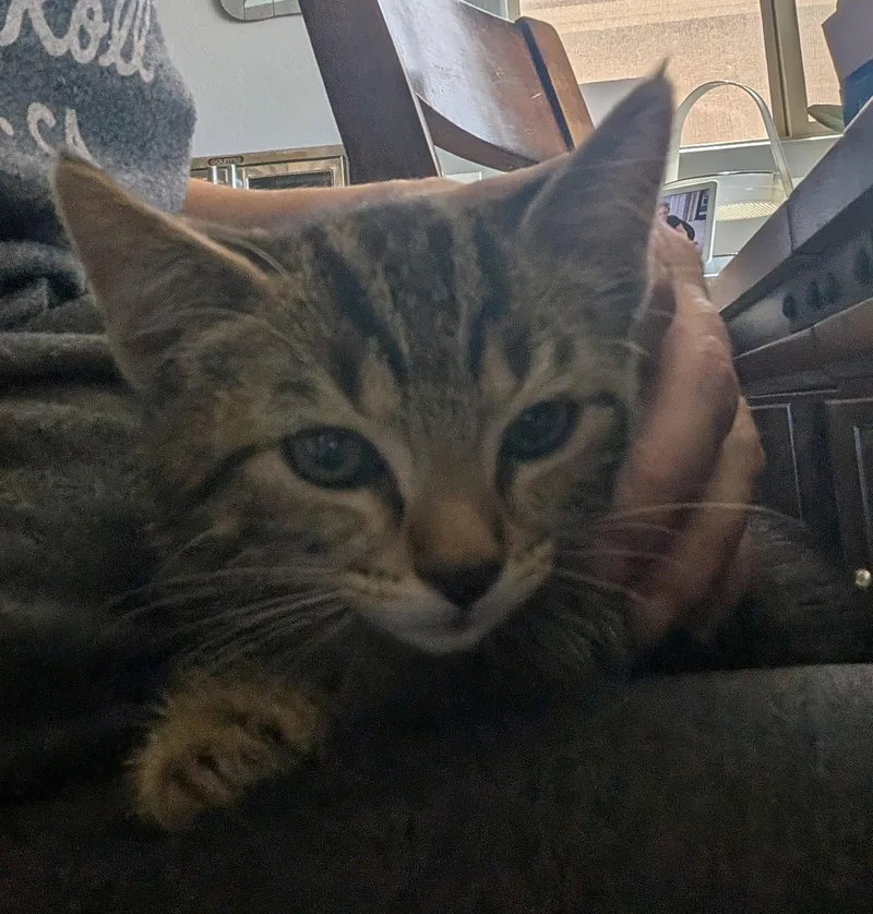 Tigger thumbnail 2