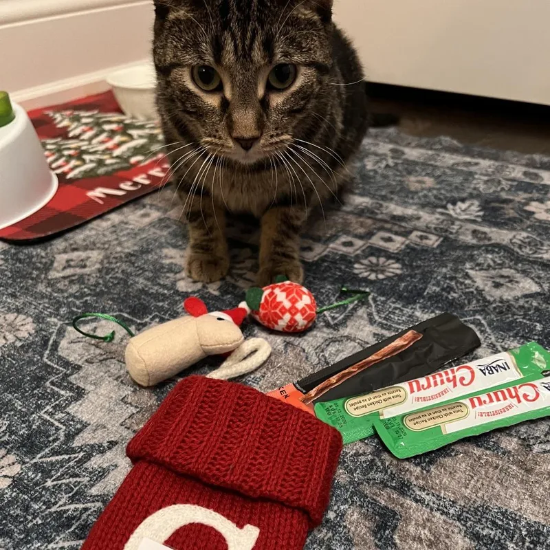 Erickson thumbnail 2