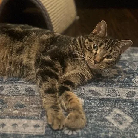 Erickson thumbnail 5