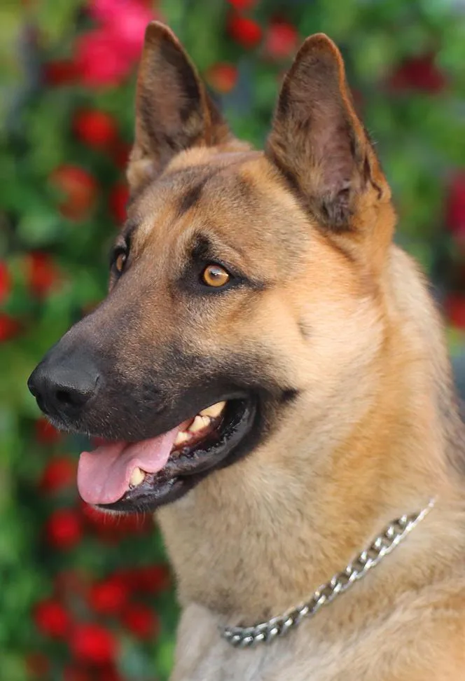 Enzo Von Ering thumbnail 6