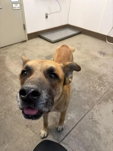 Walter