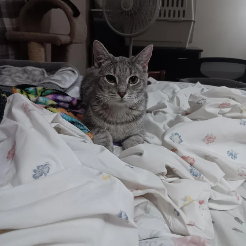 Caroline thumbnail 2