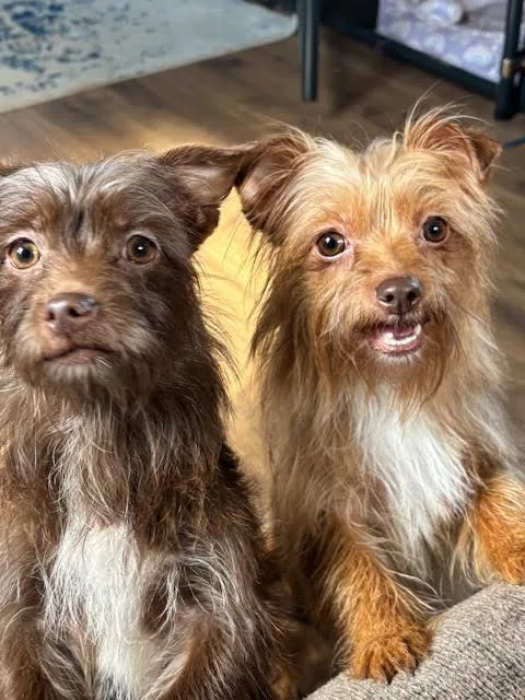 Coco thumbnail 2