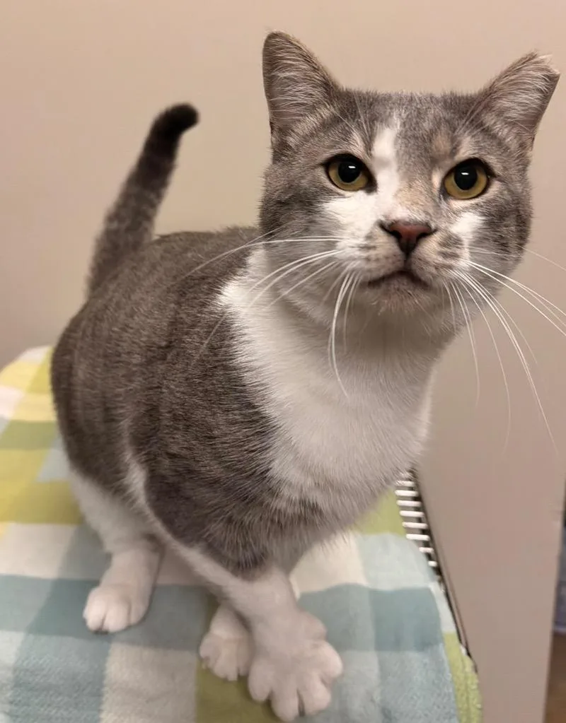Eugene