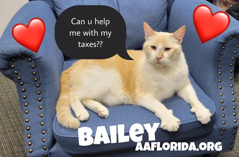 Bailey Cyd thumbnail 3