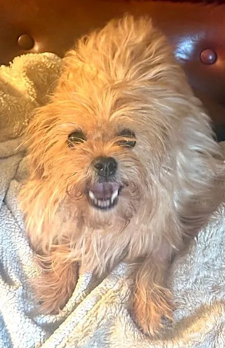 Bailey thumbnail 2