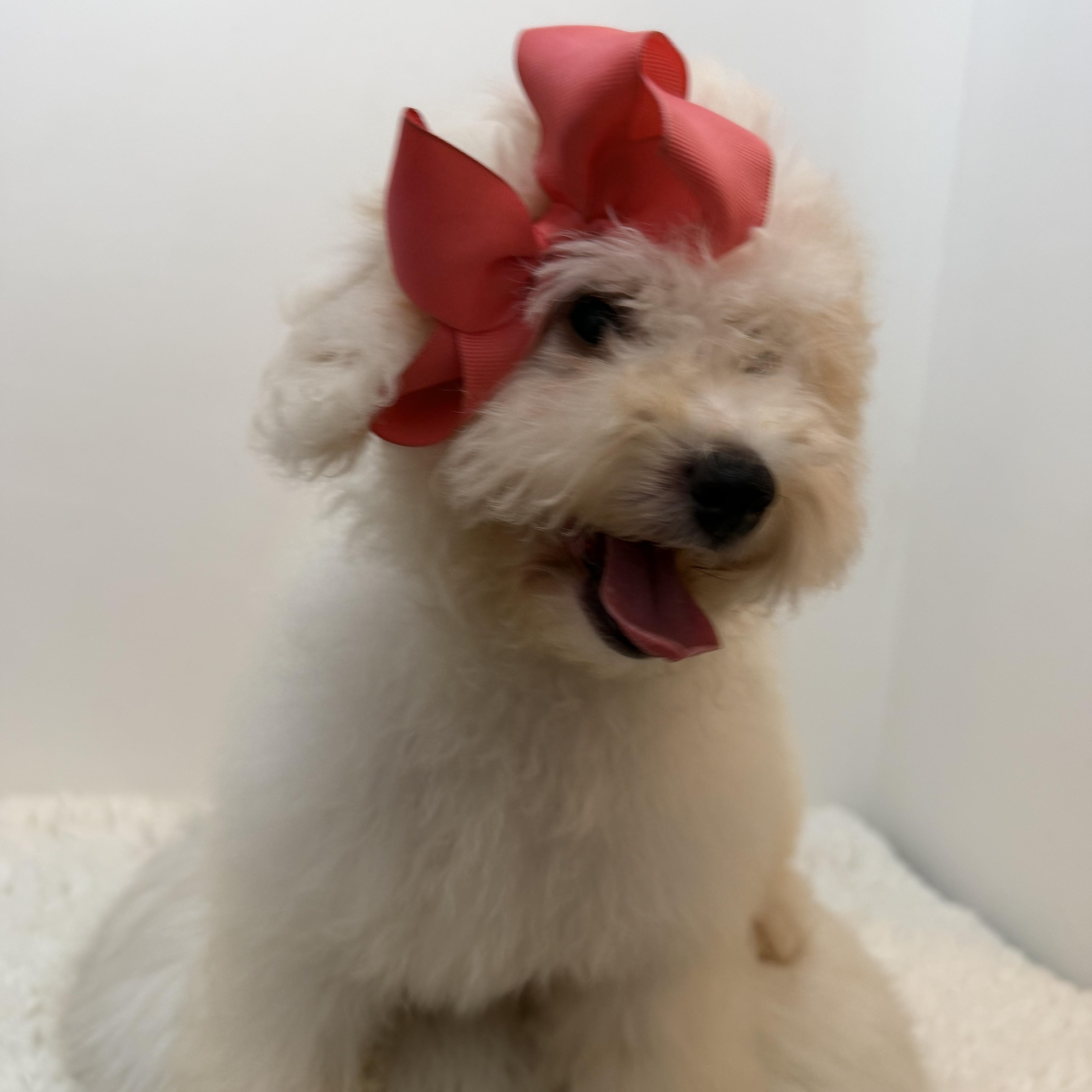 Martha thumbnail 3