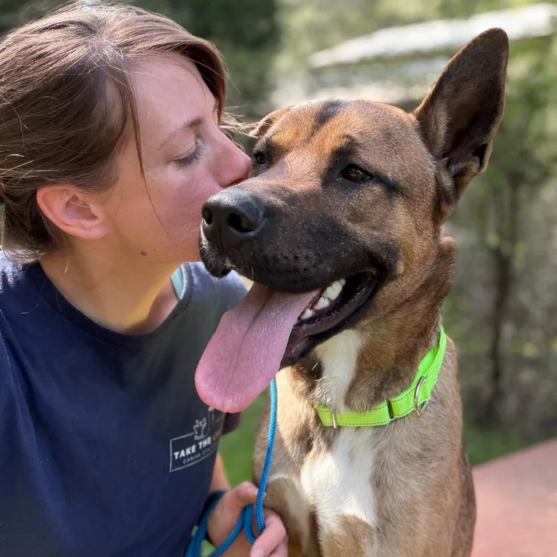 Scooby Doo thumbnail 3