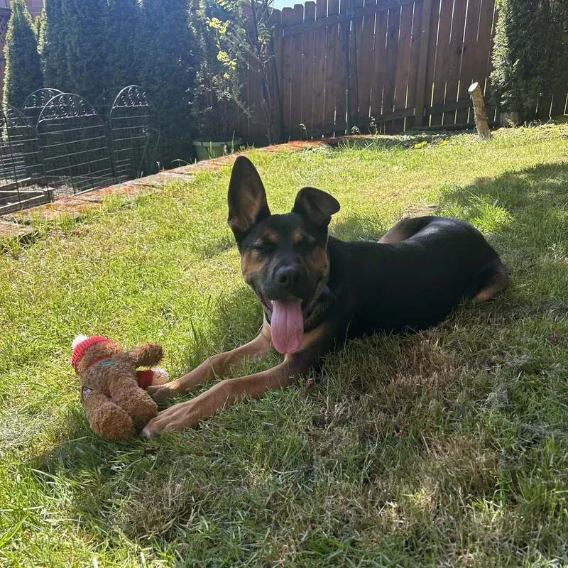 Baxter