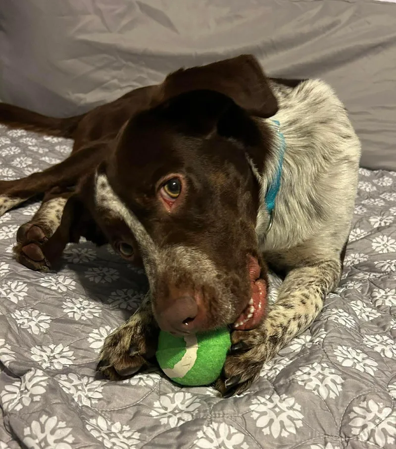 Michelangelo thumbnail 2