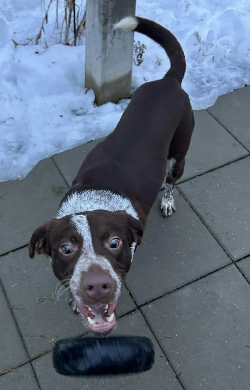 Michelangelo thumbnail 3