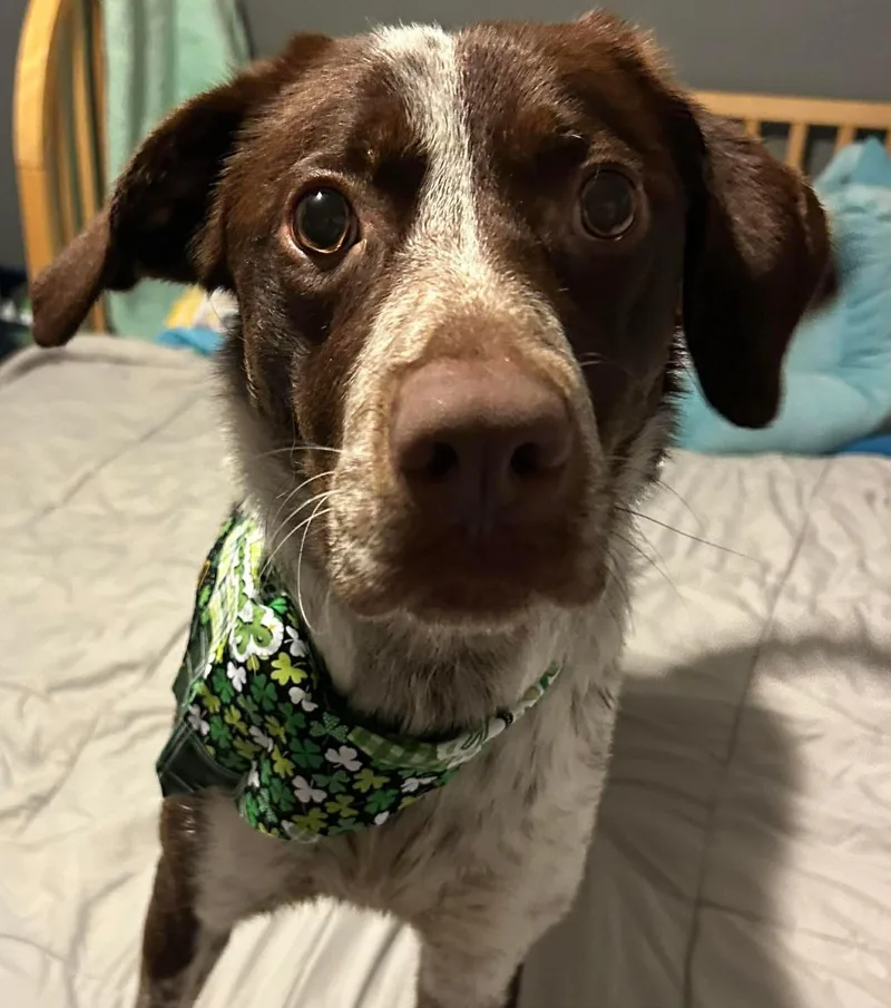 Michelangelo thumbnail 4