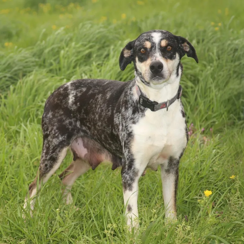 Clorisa S thumbnail 2