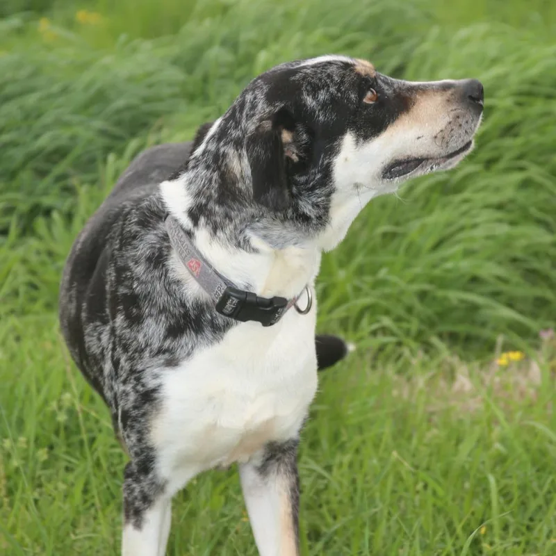 Clorisa S thumbnail 3