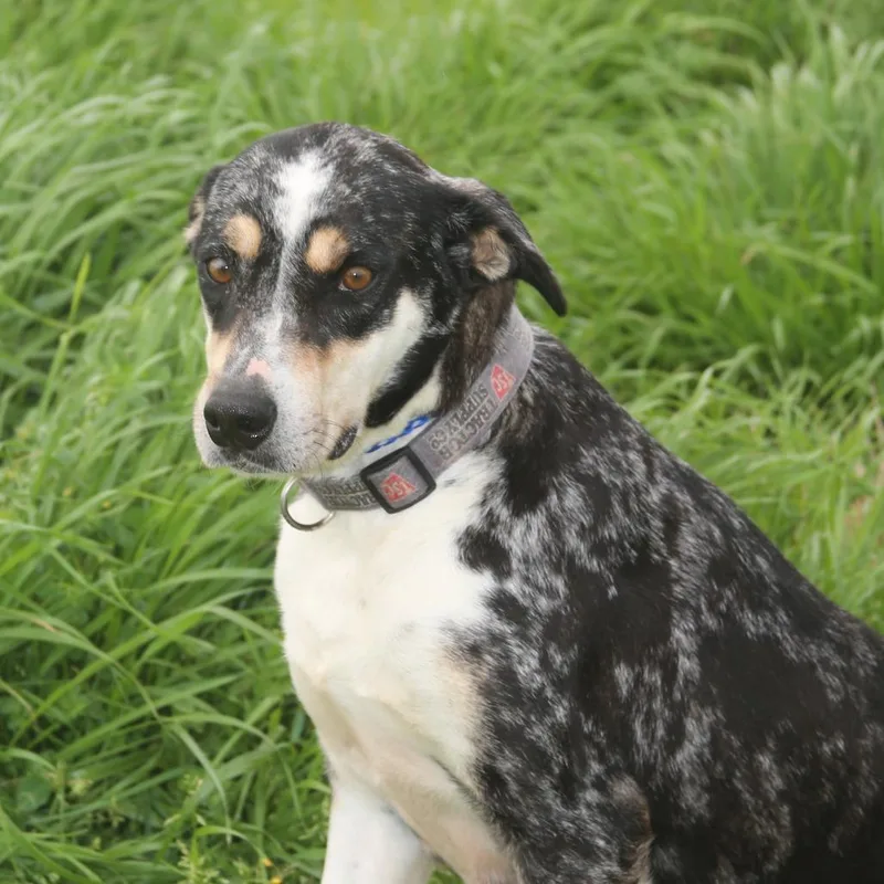 Clorisa S thumbnail 4