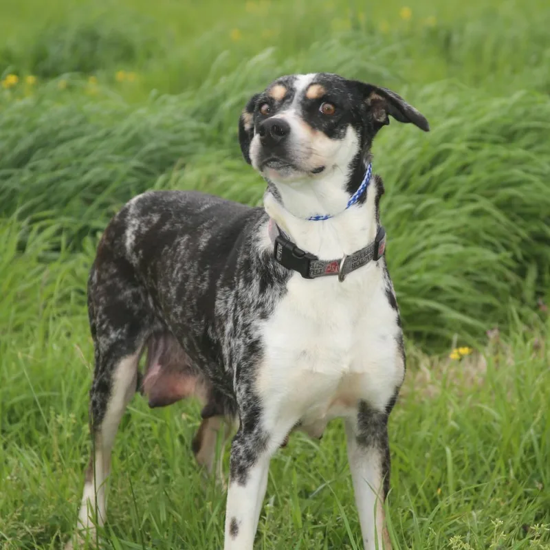 Clorisa S thumbnail 5