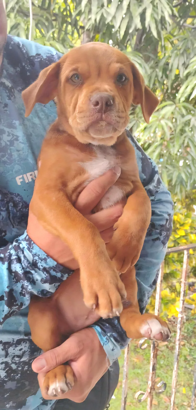 Grumpy "i Am Full thumbnail 2