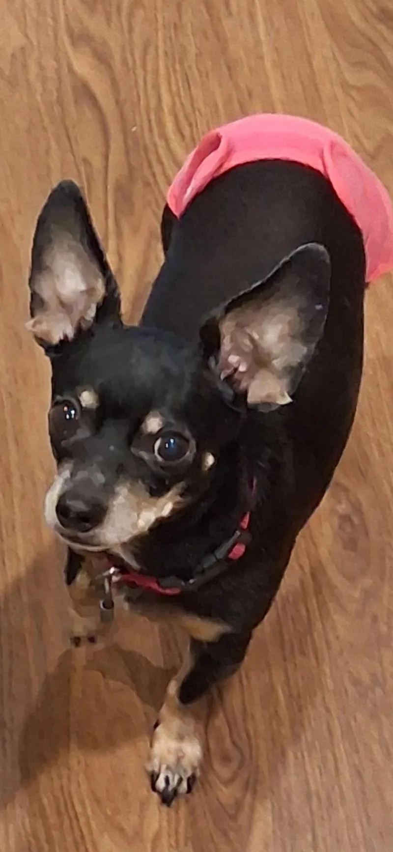 Lucy