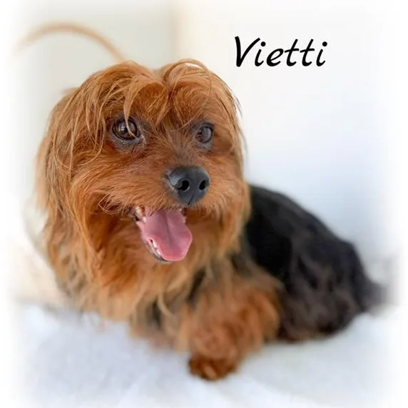 Vietti thumbnail 2