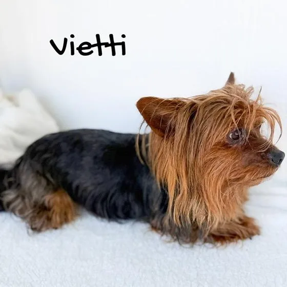 Vietti thumbnail 3