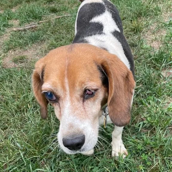 Kris Hughes thumbnail 2