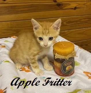 Apple Fritter thumbnail 4