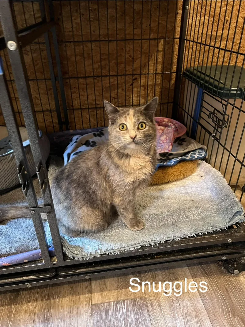 Snuggles thumbnail 6
