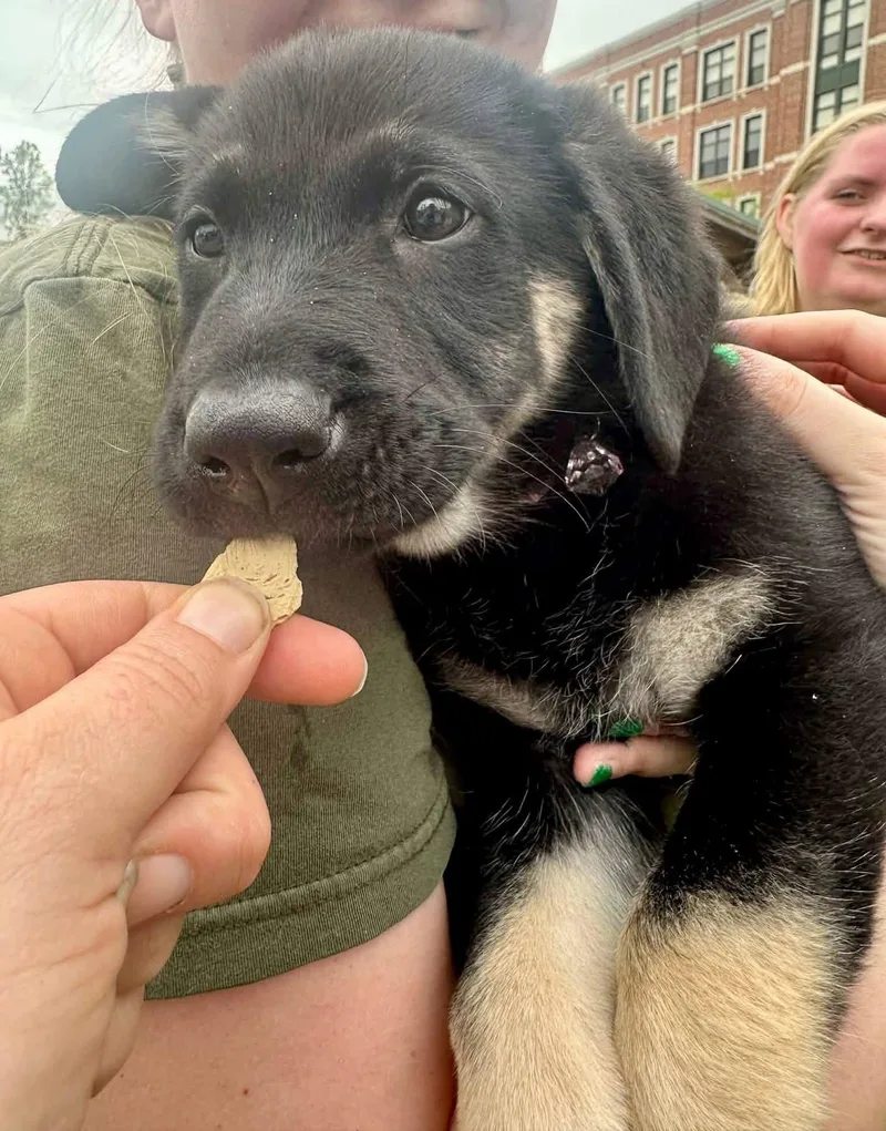 Joui Wine “joy” thumbnail 3