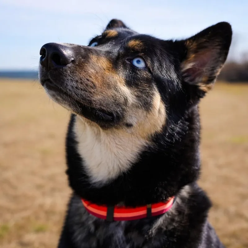 Bug  Beautiful  thumbnail 2