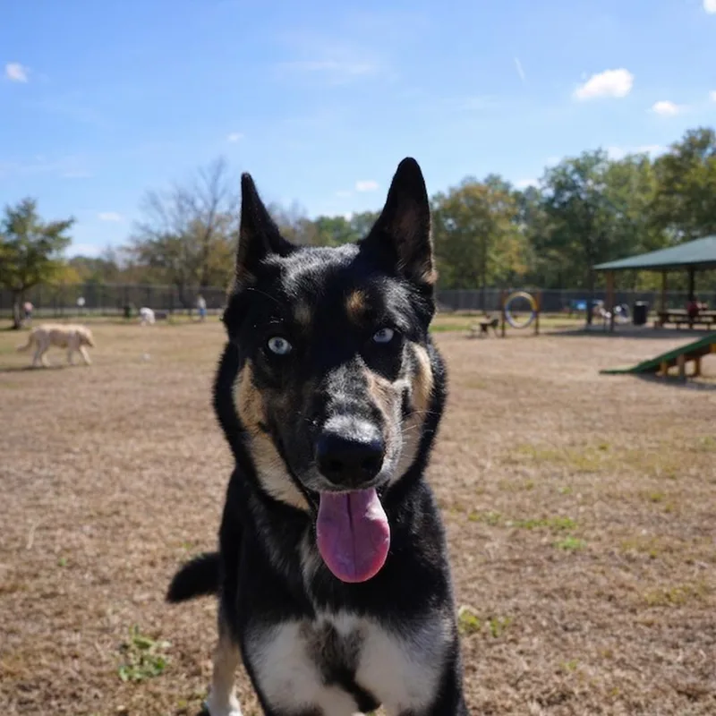 Bug  Beautiful  thumbnail 4