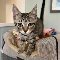 Kiki thumbnail 2