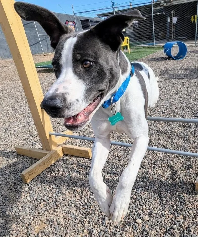 Jefferson thumbnail 2