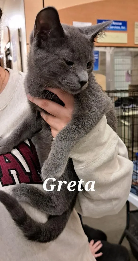 Greta