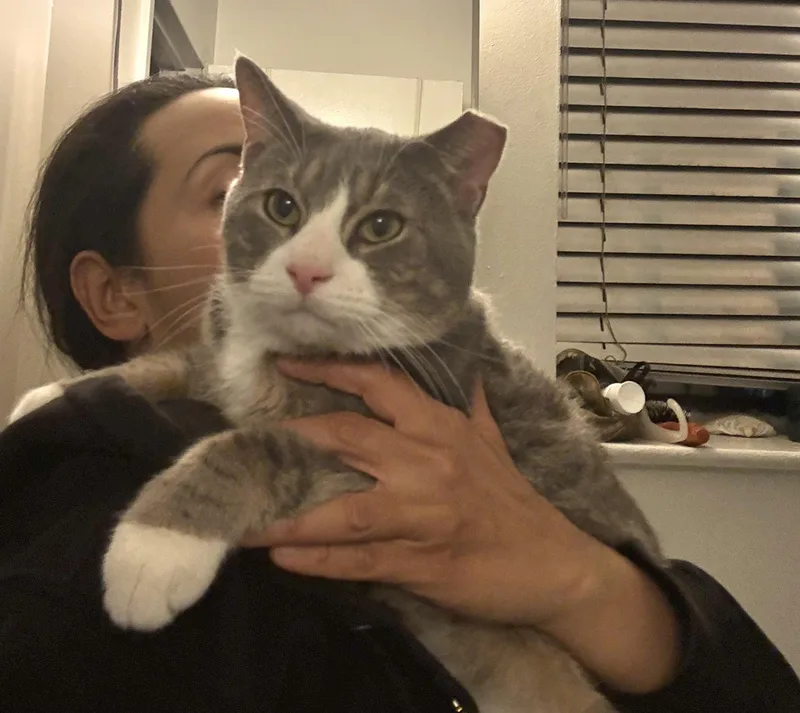 Azucar thumbnail 3