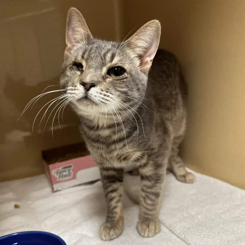 Swissroll thumbnail 2