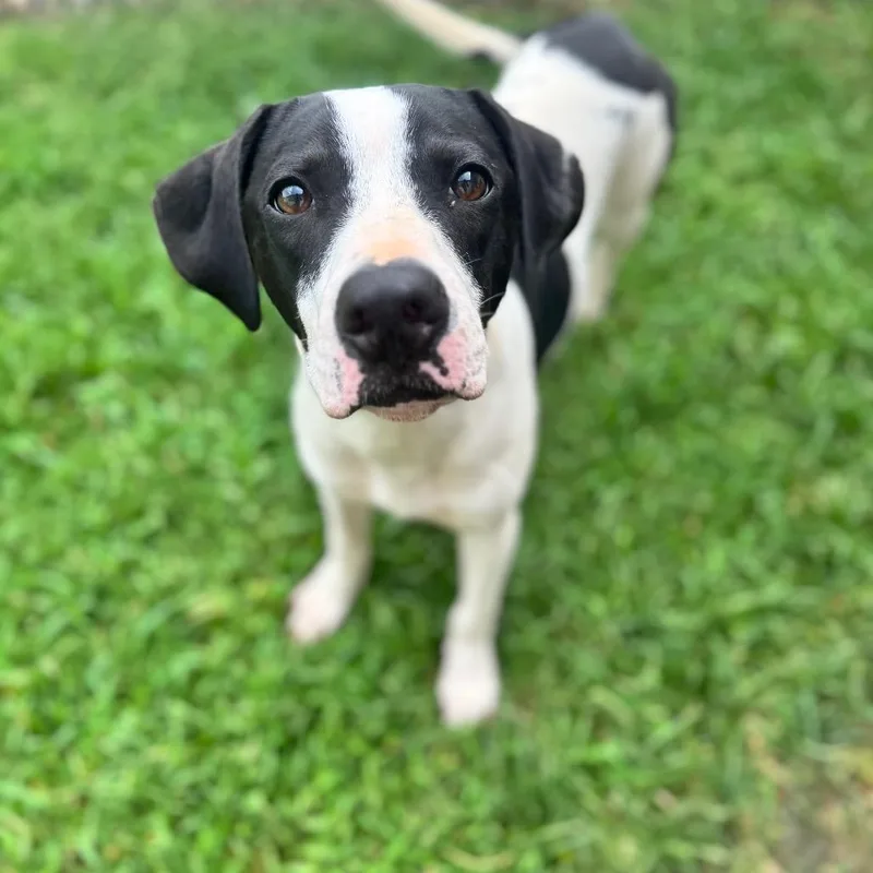 Dale thumbnail 2