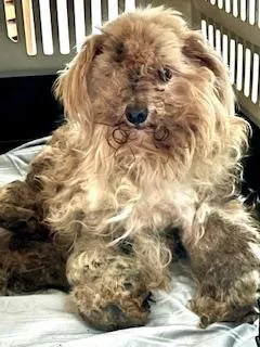 Charlie