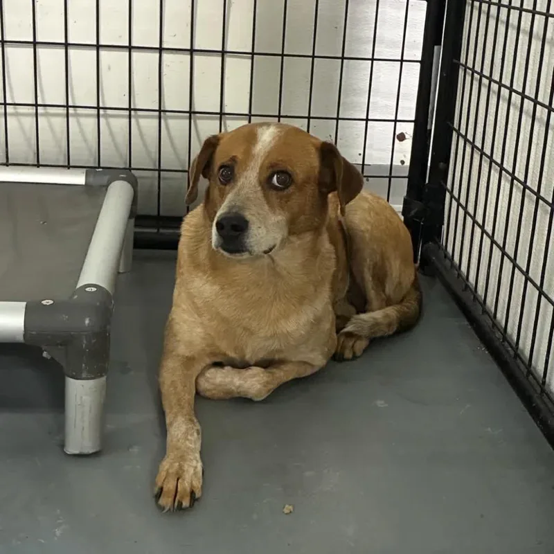 Nicholas thumbnail 2