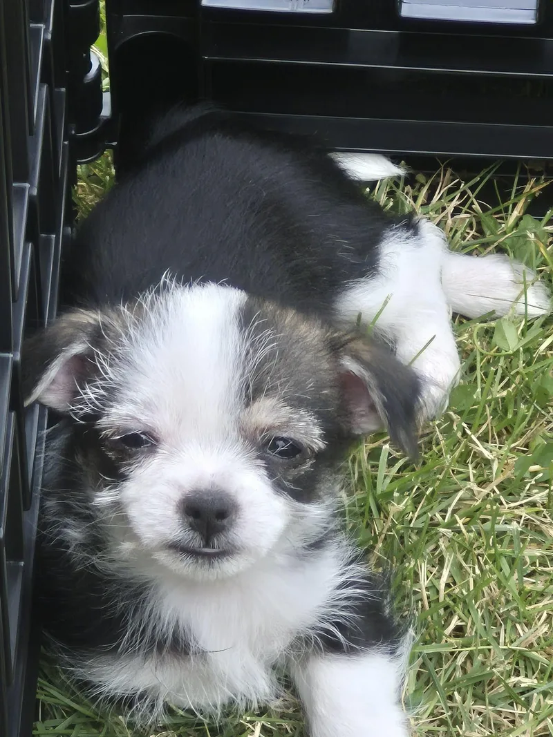 Sally thumbnail 5