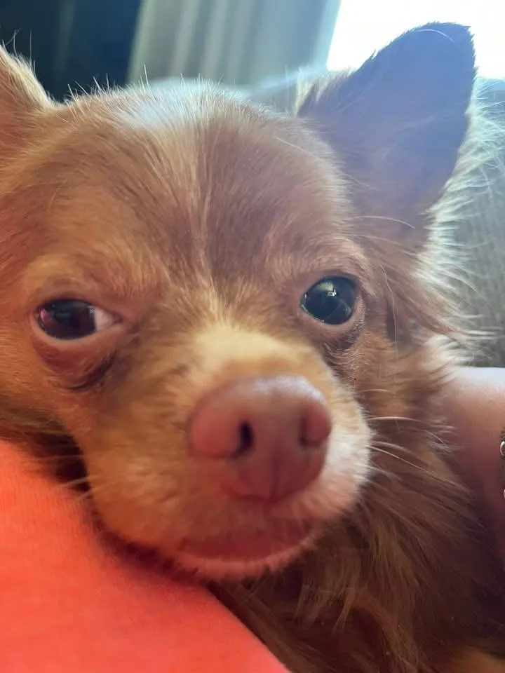 Tinkerbell thumbnail 2