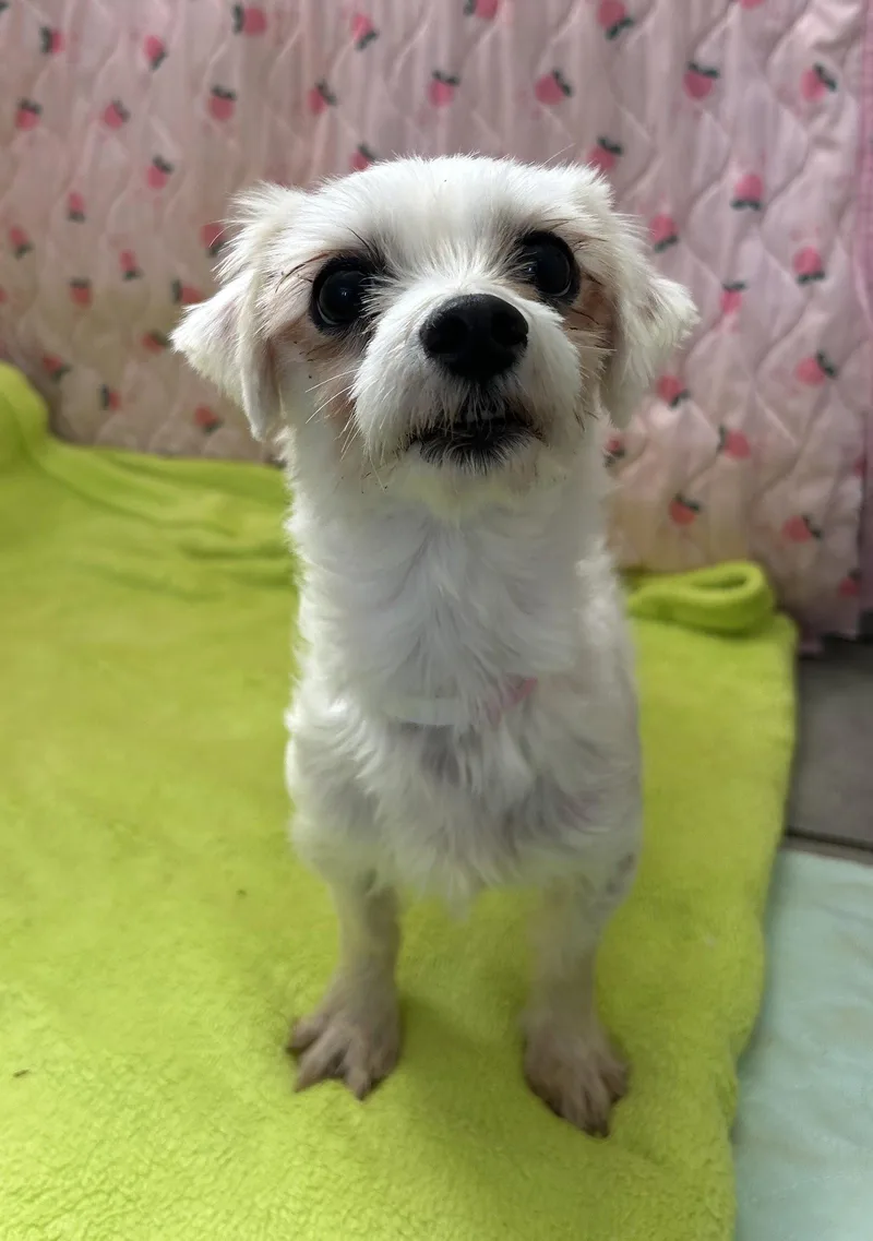 Xena Mar thumbnail 2