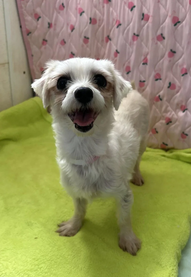 Xena Mar thumbnail 3