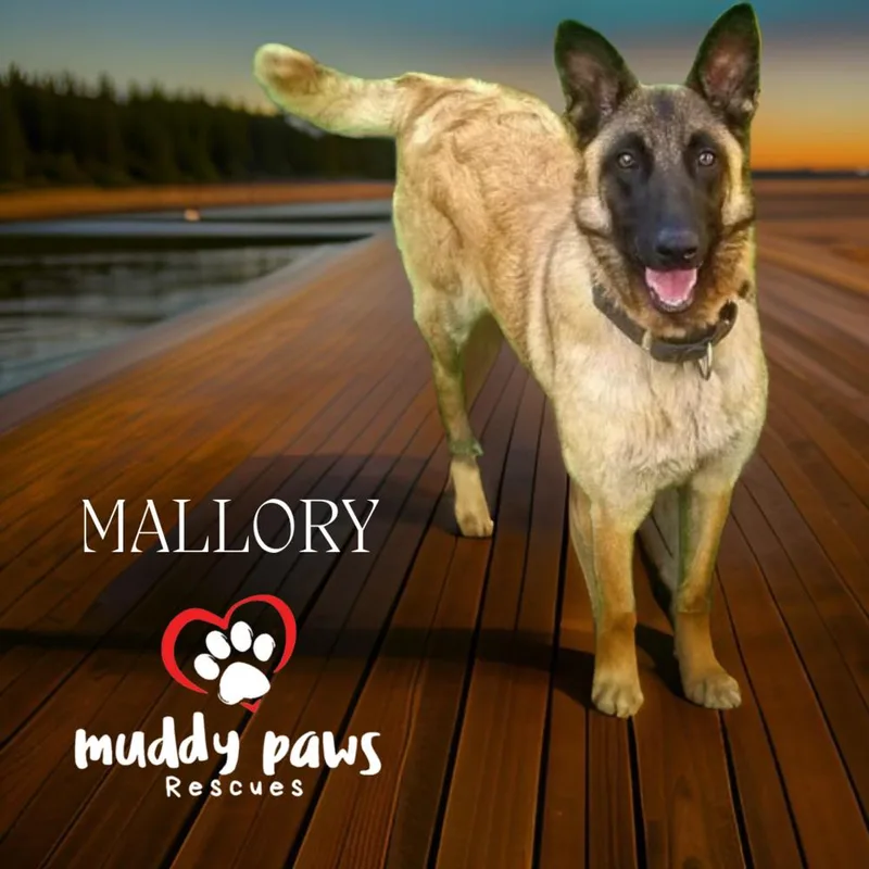 Mallory