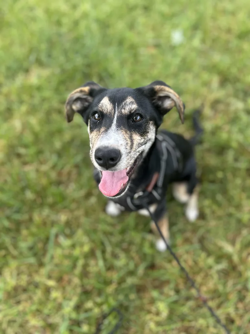 Zeus