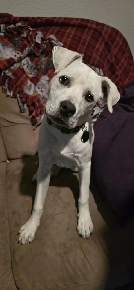 Daisy Mae thumbnail 3