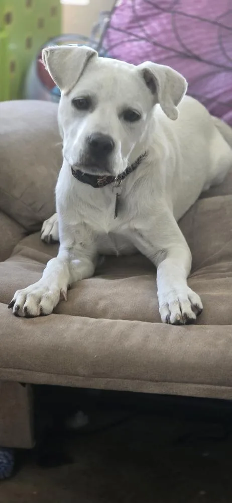 Daisy Mae thumbnail 4