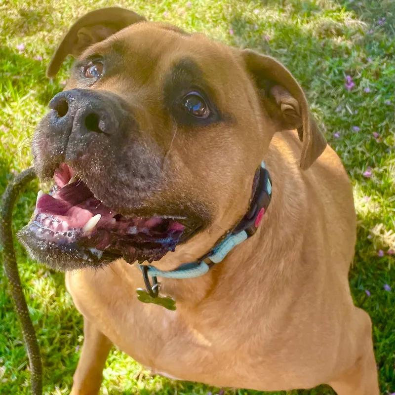 C.j. Best Smile thumbnail 4