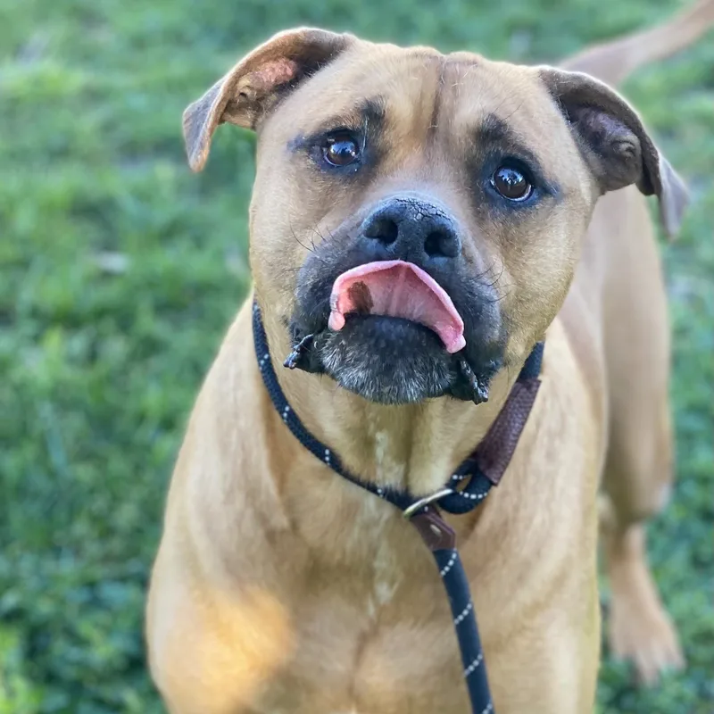 C.j. Best Smile thumbnail 5