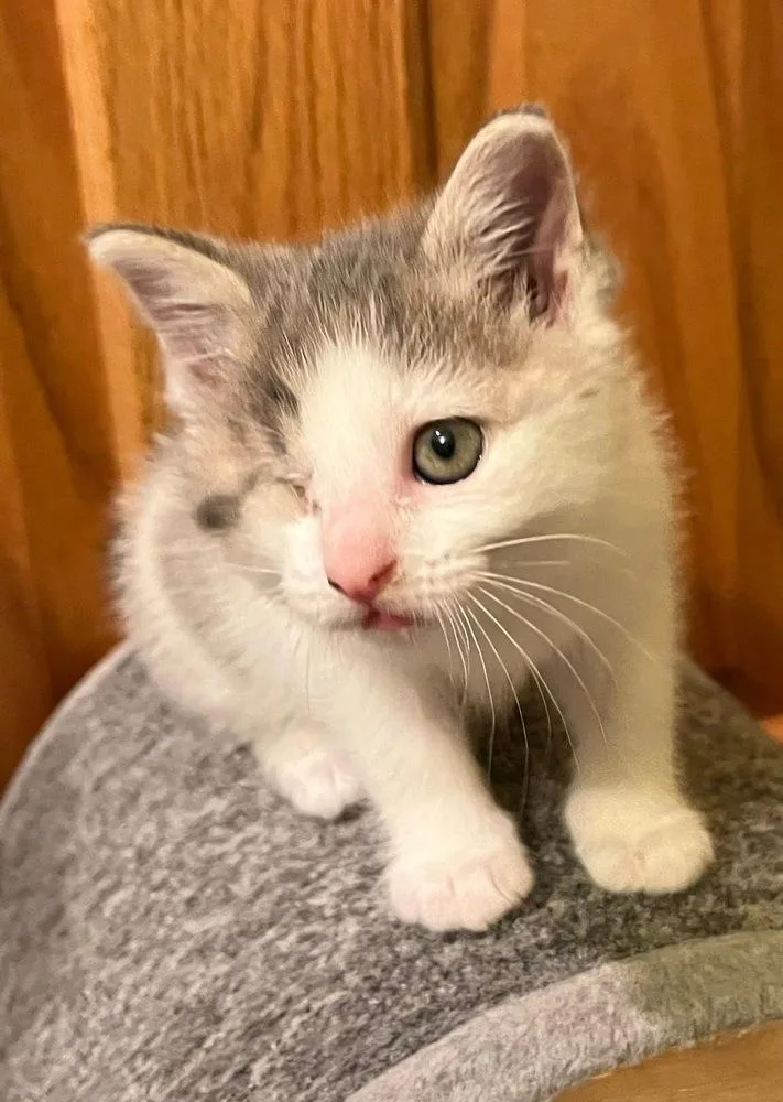 Lucie