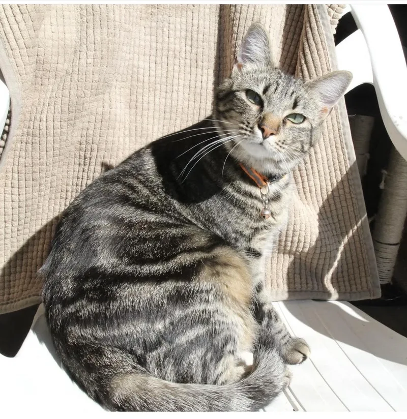 Heidi  Rose  thumbnail 2